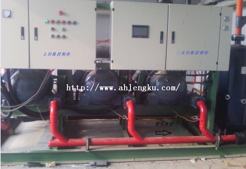 安慶市3*125匹漢鐘螺桿并聯機組冷